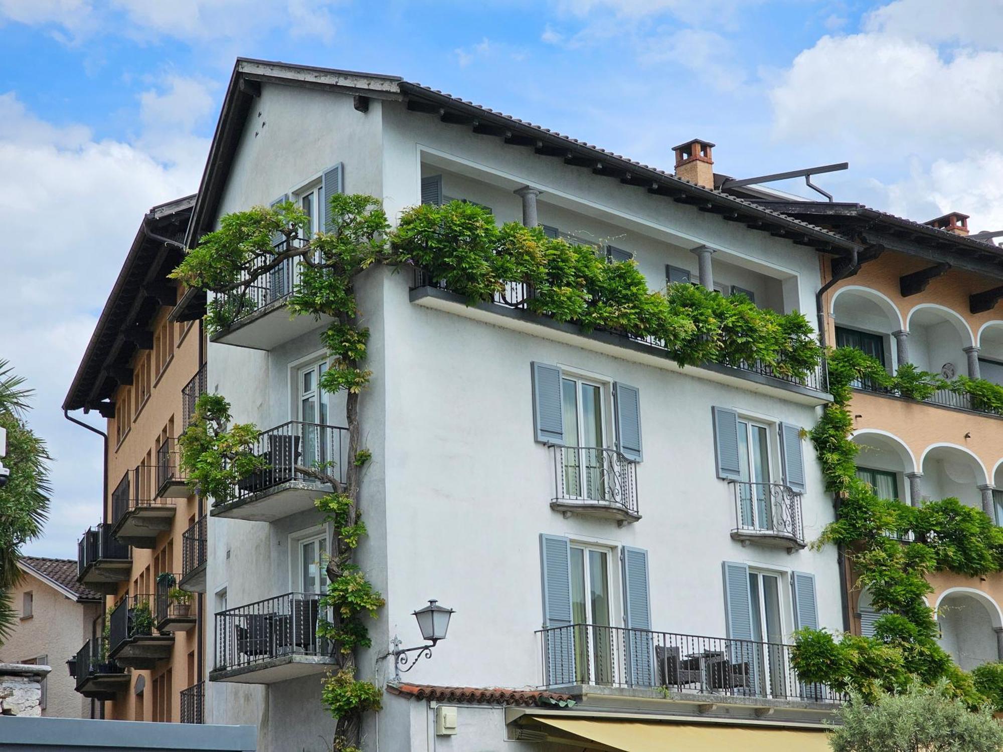 Ascona: Nostrana Apt. 2 객실 사진
